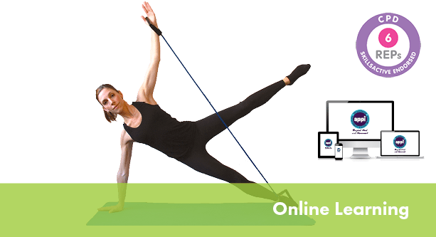 Reformer on the Mat with the Tube Band – Online Course