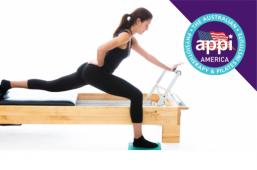Reformer Level 1 ONLINE Course