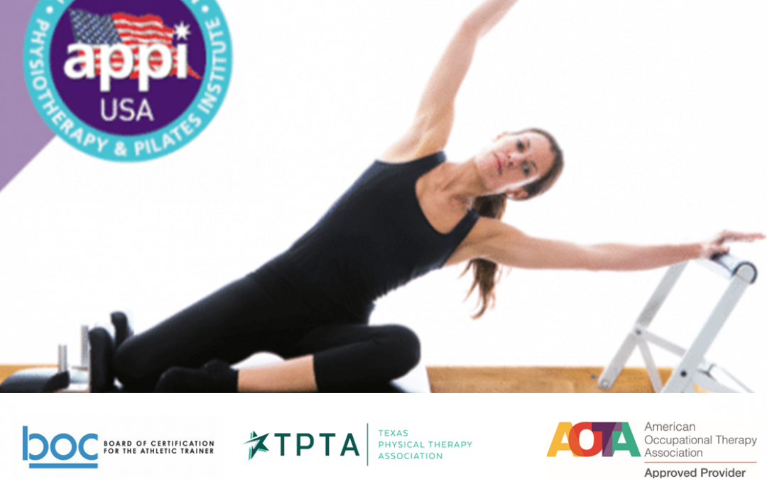 Reformer Level 3 ONLINE Course